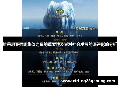 维蒂尼亚强调集体力量的重要性及其对社会发展的深远影响分析