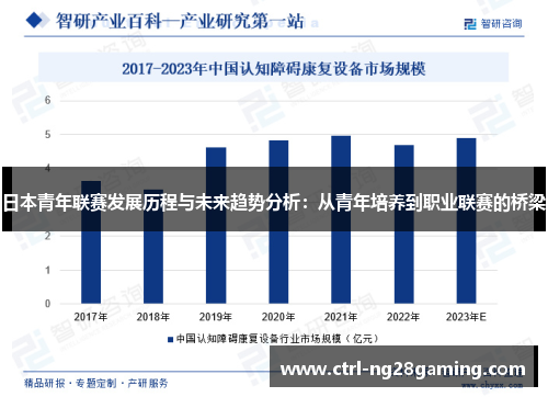 日本青年联赛发展历程与未来趋势分析：从青年培养到职业联赛的桥梁