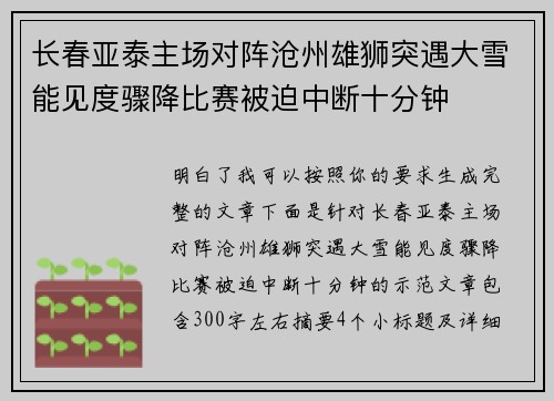 长春亚泰主场对阵沧州雄狮突遇大雪能见度骤降比赛被迫中断十分钟